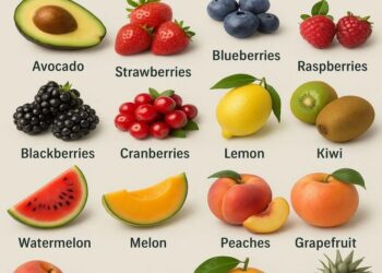 List of Fruits Without Sugar: A Complete Guide